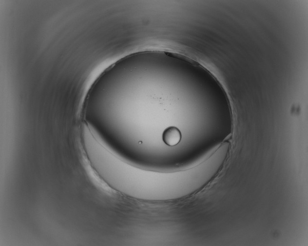 X0000110701152200906261401