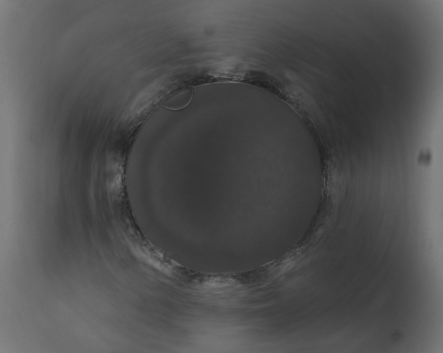 X0000110701154200906261401