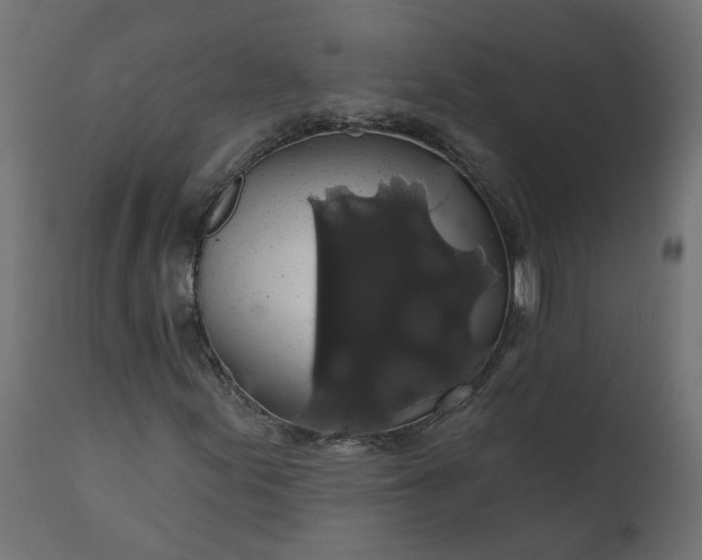 X0000110701155200906261401