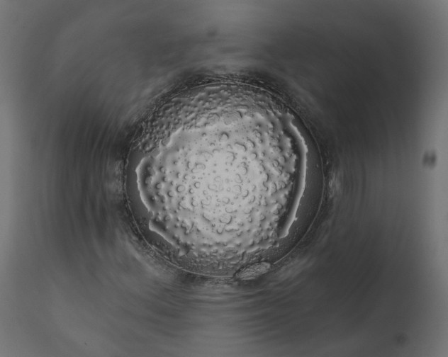 X0000110701156200906261401