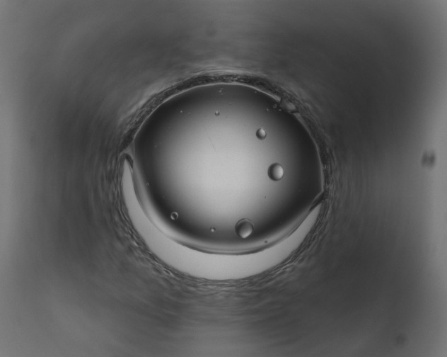 X0000110701157200906261401