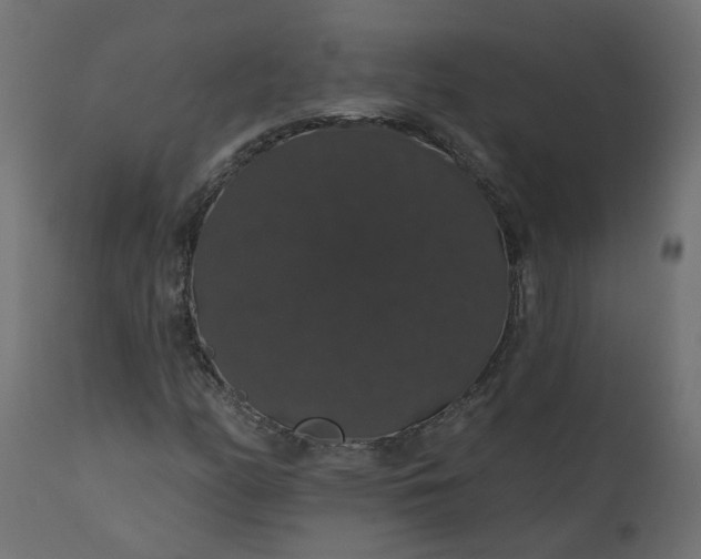 X0000110701158200906261401
