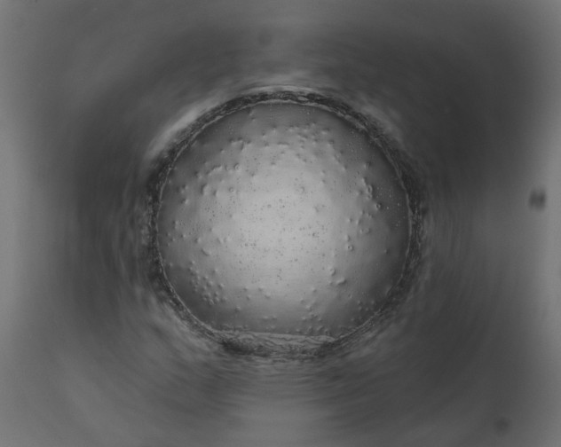 X0000110701159200906261401
