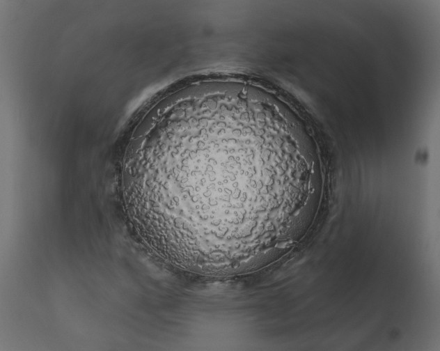 X0000110701160200906261401