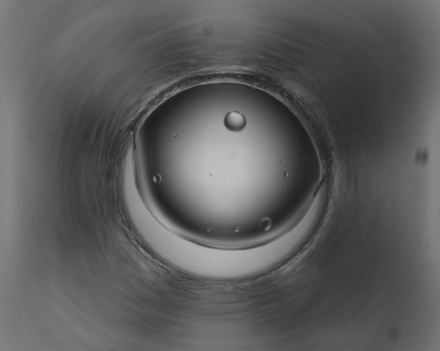 X0000110701161200906261401