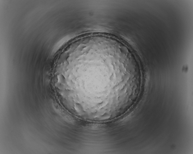X0000110701163200906261401