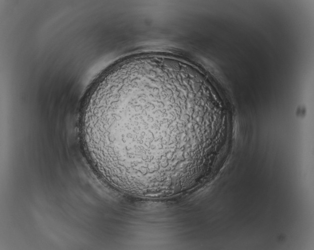 X0000110701164200906261401