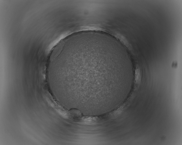 X0000110701165200906261401