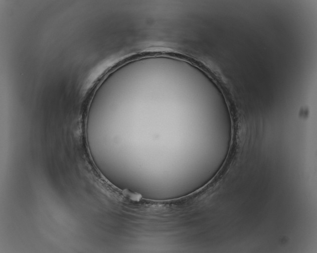 X0000110701167200906261400