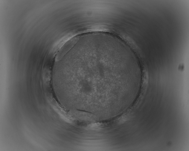 X0000110701169200906261400