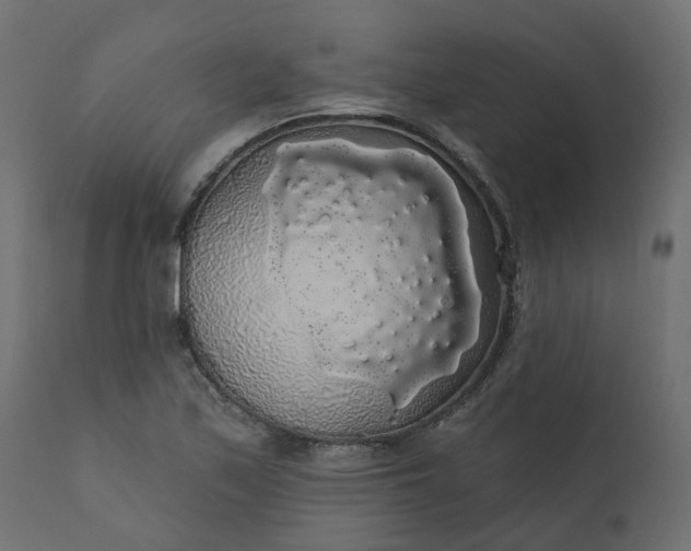 X0000110701171200906261400