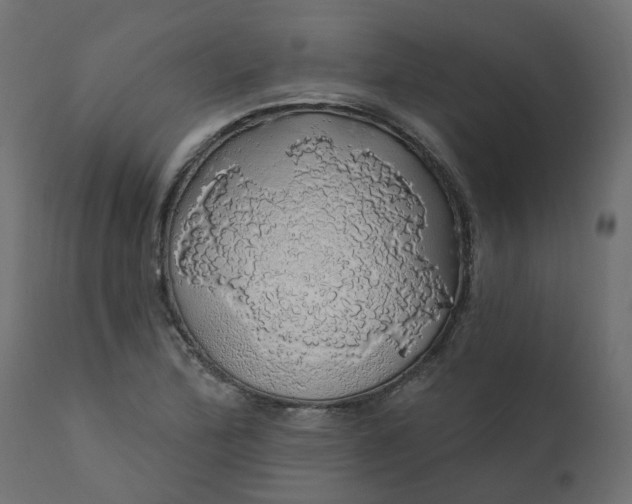 X0000110701172200906261400