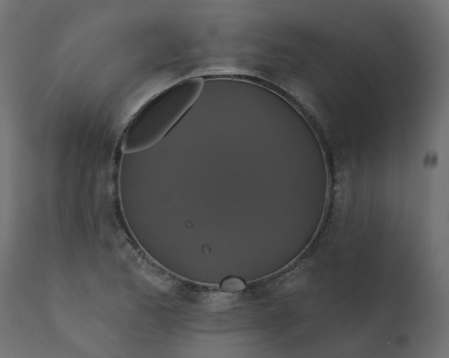 X0000110701173200906261400