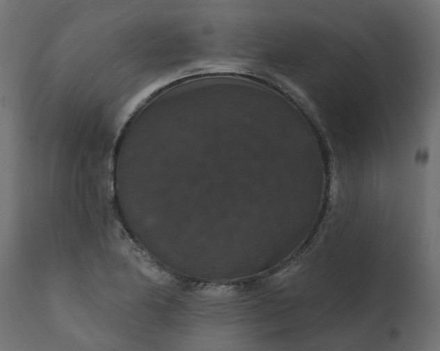 X0000110701174200906261400