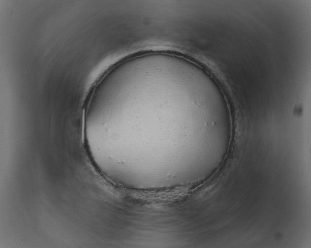 X0000110701175200906261400