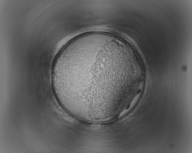 X0000110701176200906261400