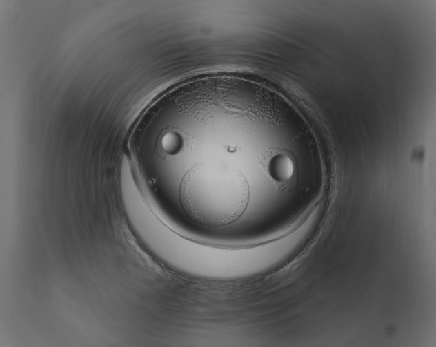 X0000110701177200906261400