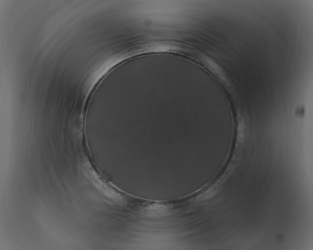 X0000110701178200906261400