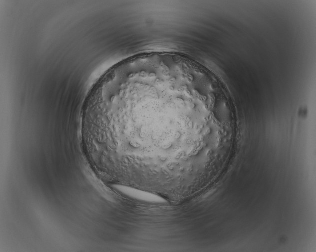 X0000110701179200906261400