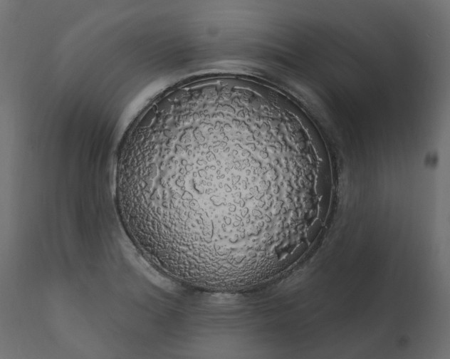 X0000110701180200906261400