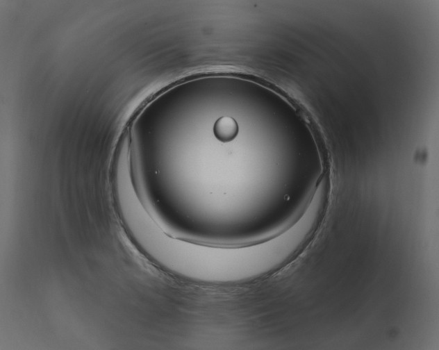 X0000110701181200906261400
