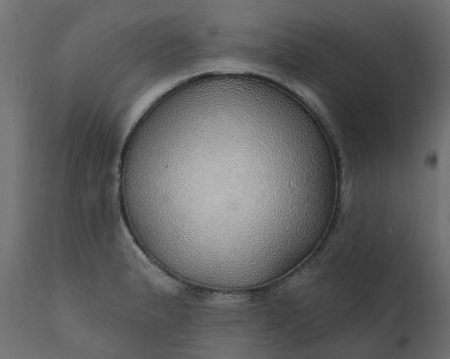 X0000110701183200906261400