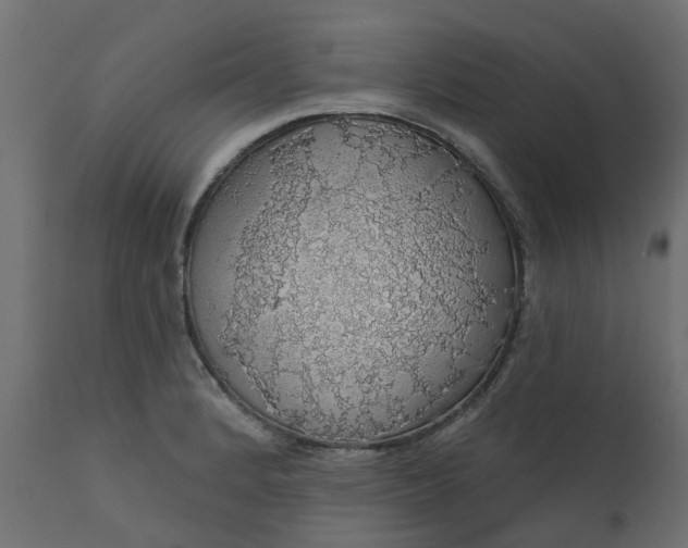 X0000110701184200906261400