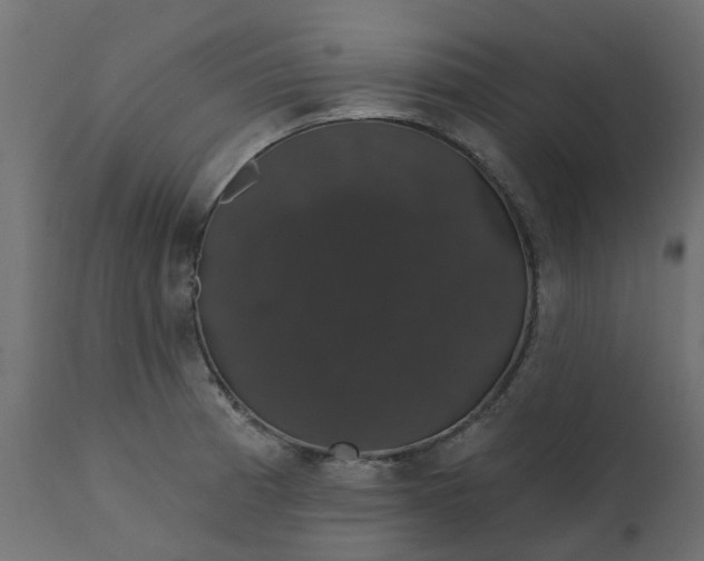 X0000110701185200906261400