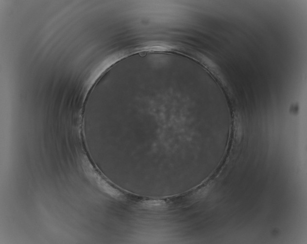 X0000110701186200906261400