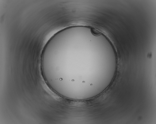 X0000110701187200906261400