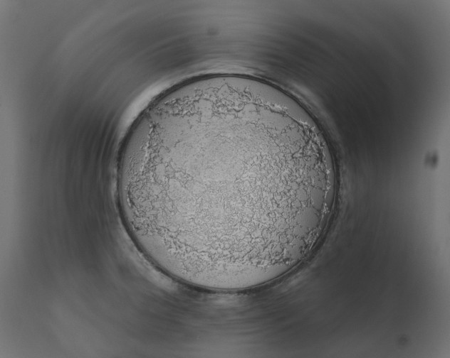 X0000110701188200906261400