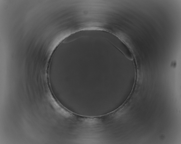 X0000110701189200906261400