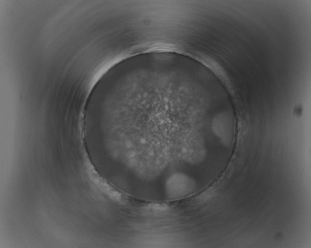 X0000110701190200906261400