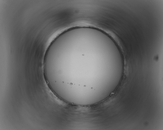 X0000110701191200906261400