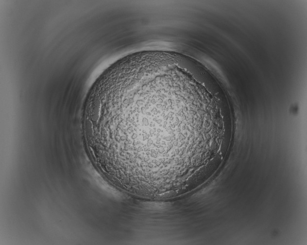 X0000110701192200906261400