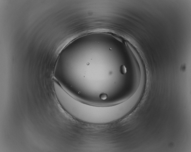 X0000110701193200906261400