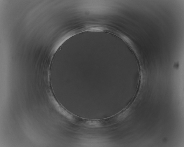X0000110701194200906261400