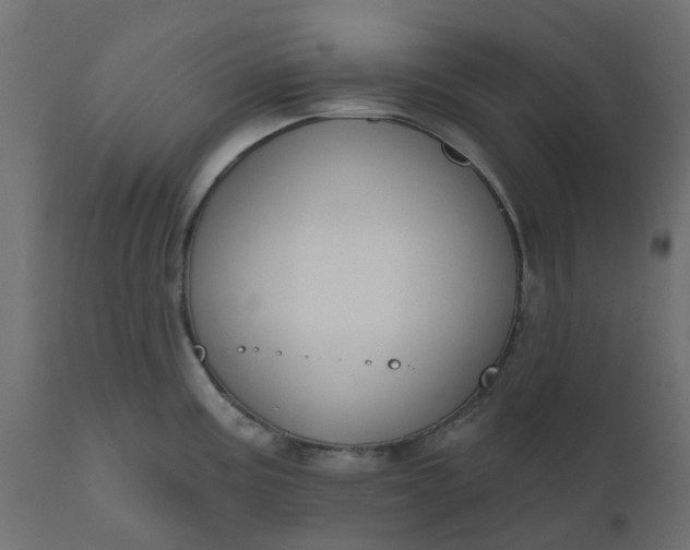 X0000110701195200906261400