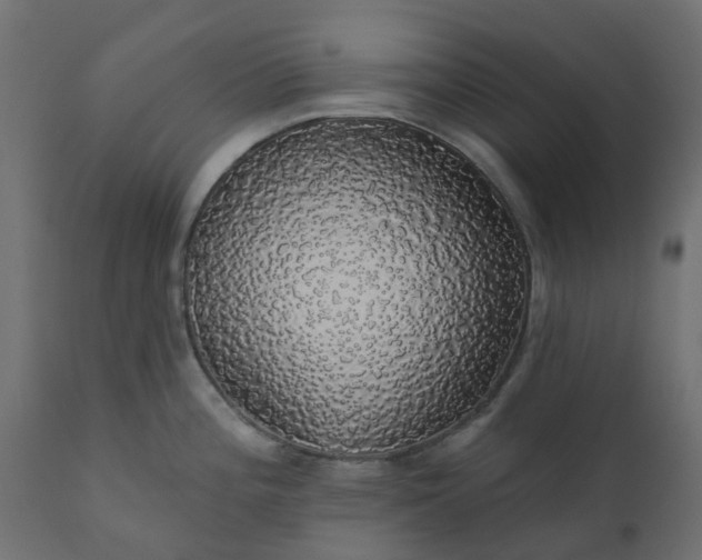 X0000110701196200906261400
