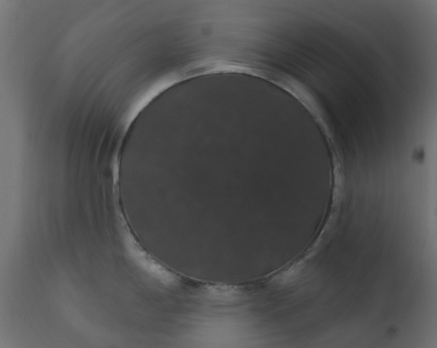 X0000110701198200906261400