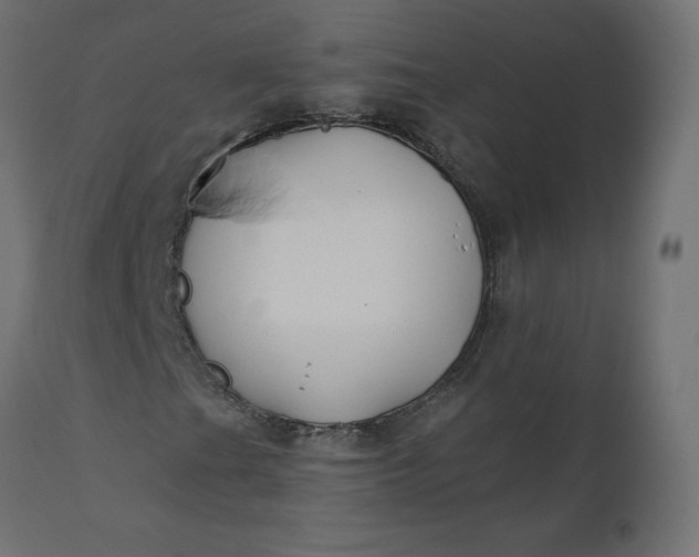 X0000110701201200906261359