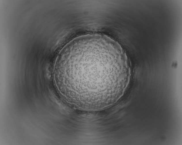 X0000110701202200906261359