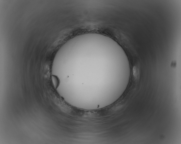 X0000110701203200906261359
