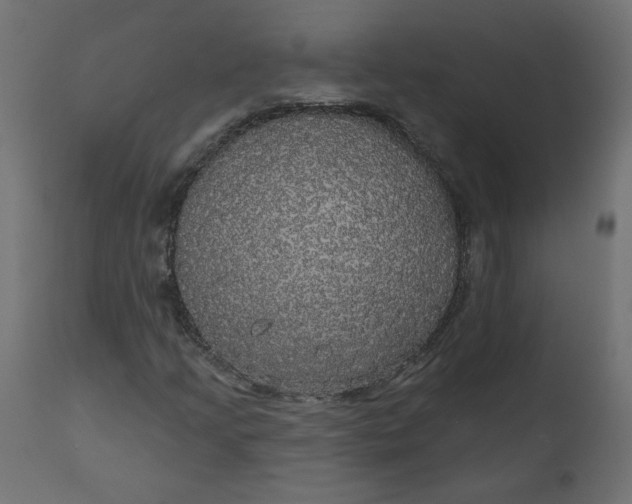 X0000110701205200906261359