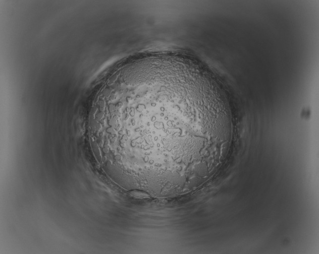 X0000110701206200906261359