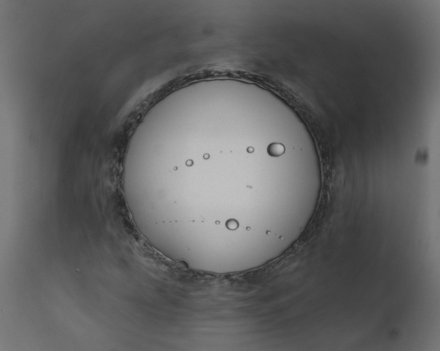 X0000110701207200906261359