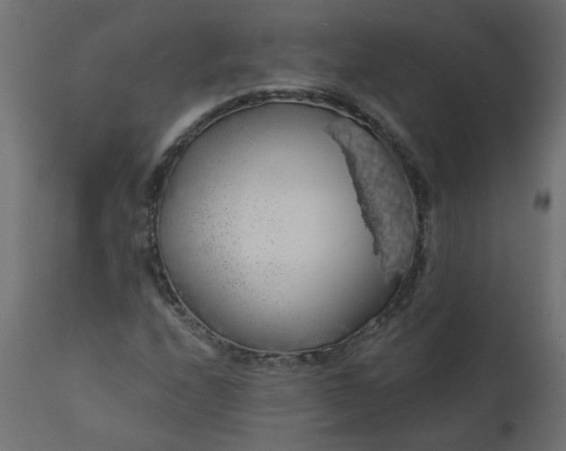 X0000110701208200906261359
