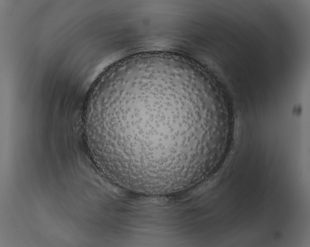 X0000110701210200906261359