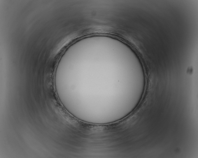 X0000110701211200906261359