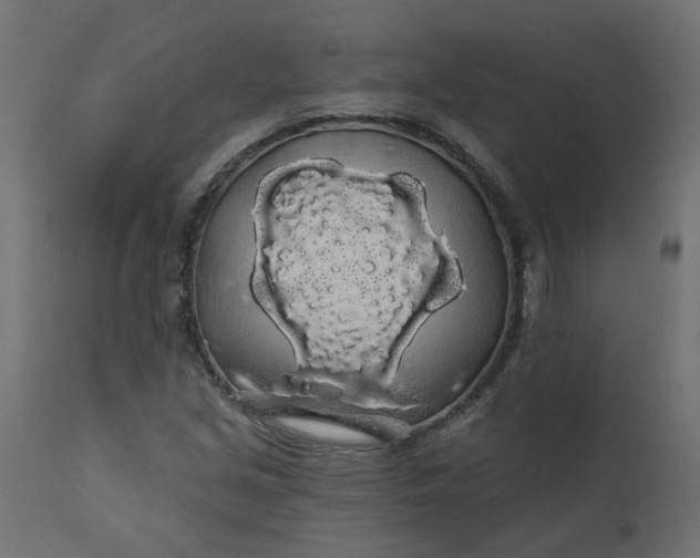 X0000110701213200906261359